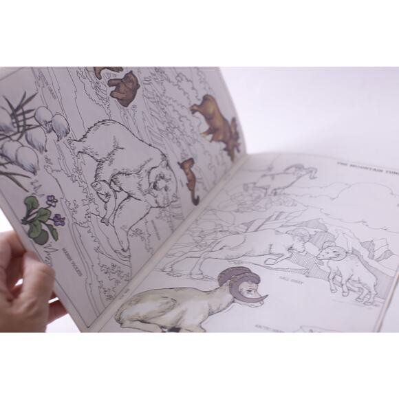 Polar Animals, Sticker Fun, Picture Book, USED, Golden, Learning ~ 250811-WH 501 - Picture 3 of 4